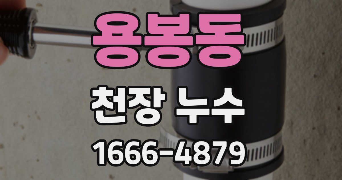 용봉동 천장 누수
