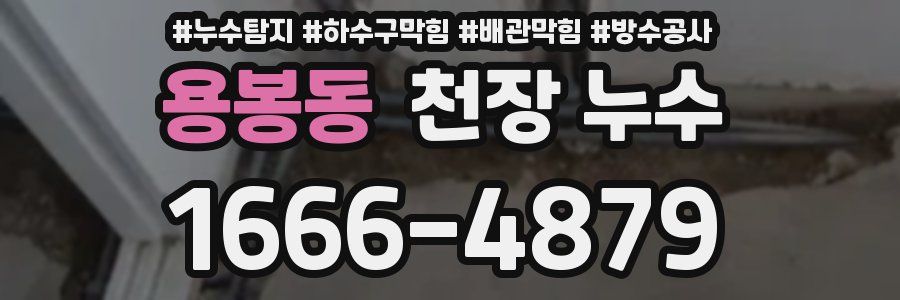용봉동 천장 누수