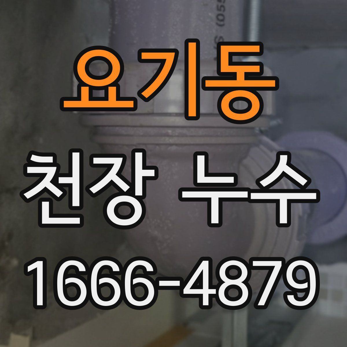 요기동 천장 누수