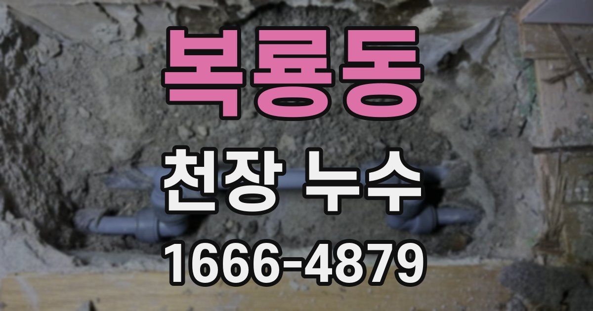복룡동 천장 누수