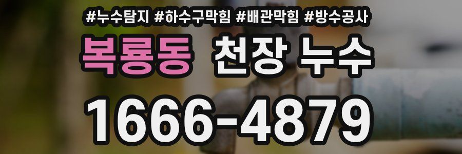 복룡동 천장 누수