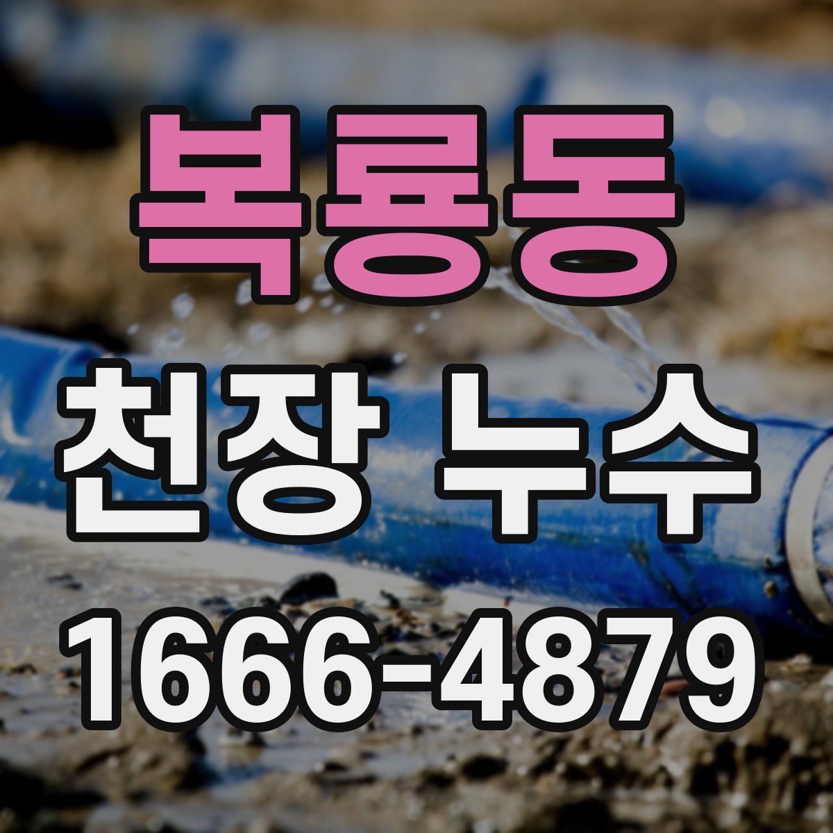 복룡동 천장 누수