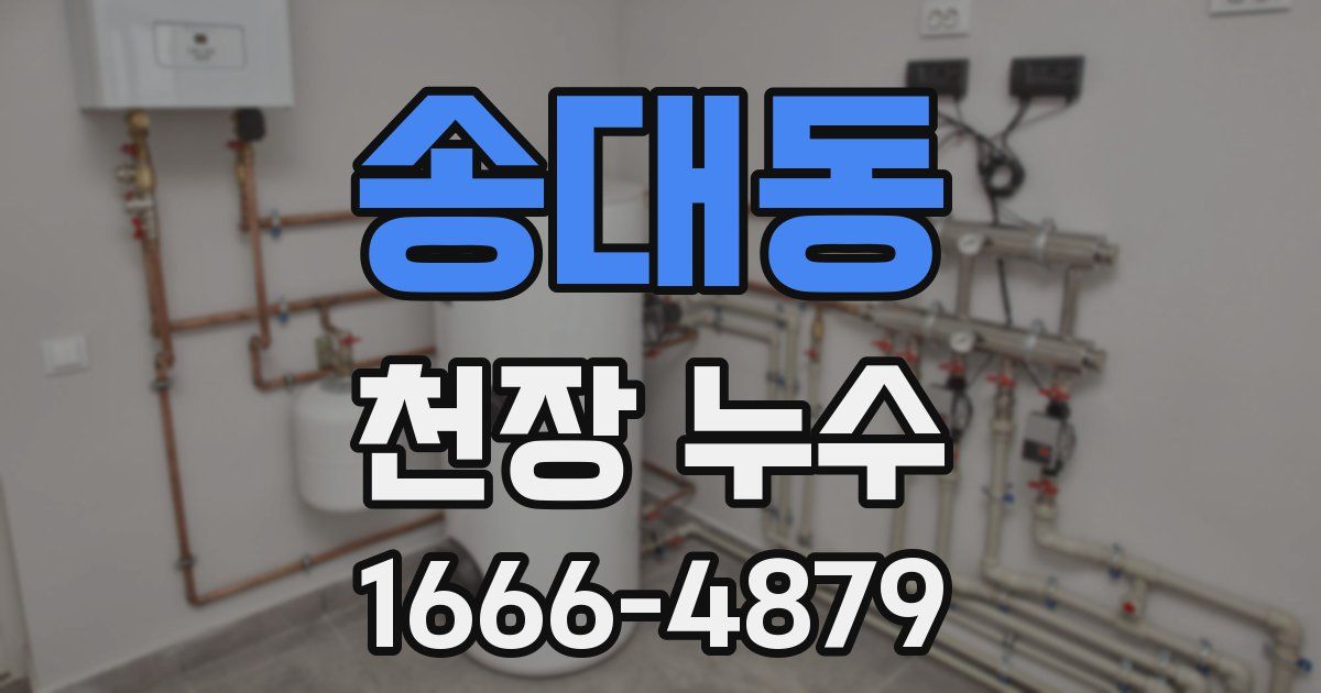송대동 천장 누수