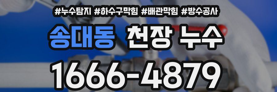 송대동 천장 누수