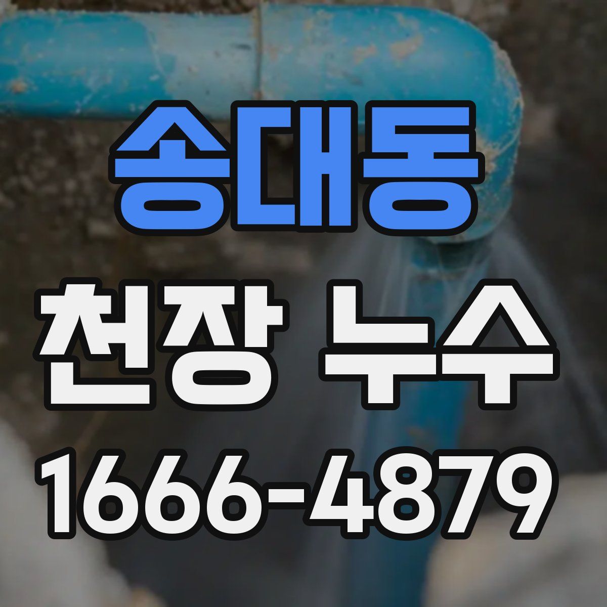 송대동 천장 누수