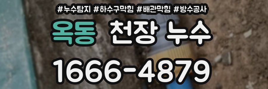 옥동 천장 누수