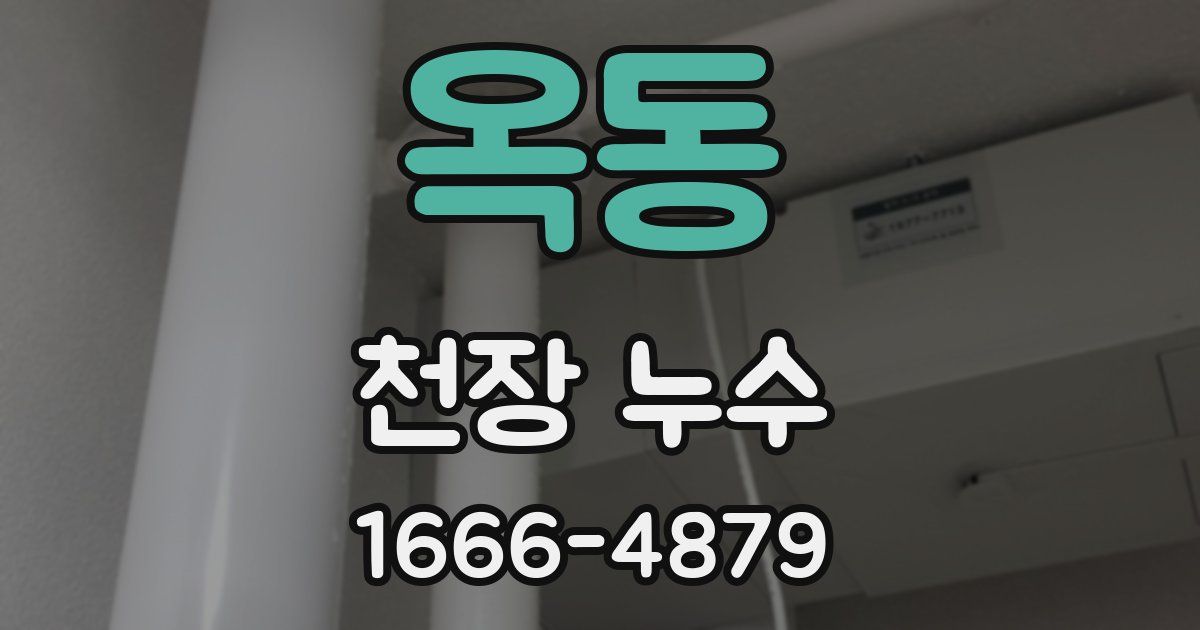옥동 천장 누수
