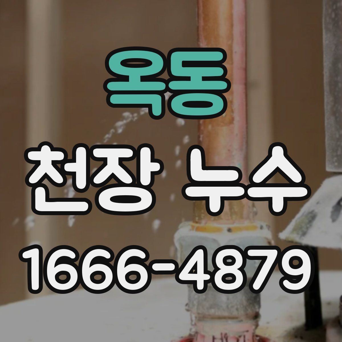 옥동 천장 누수
