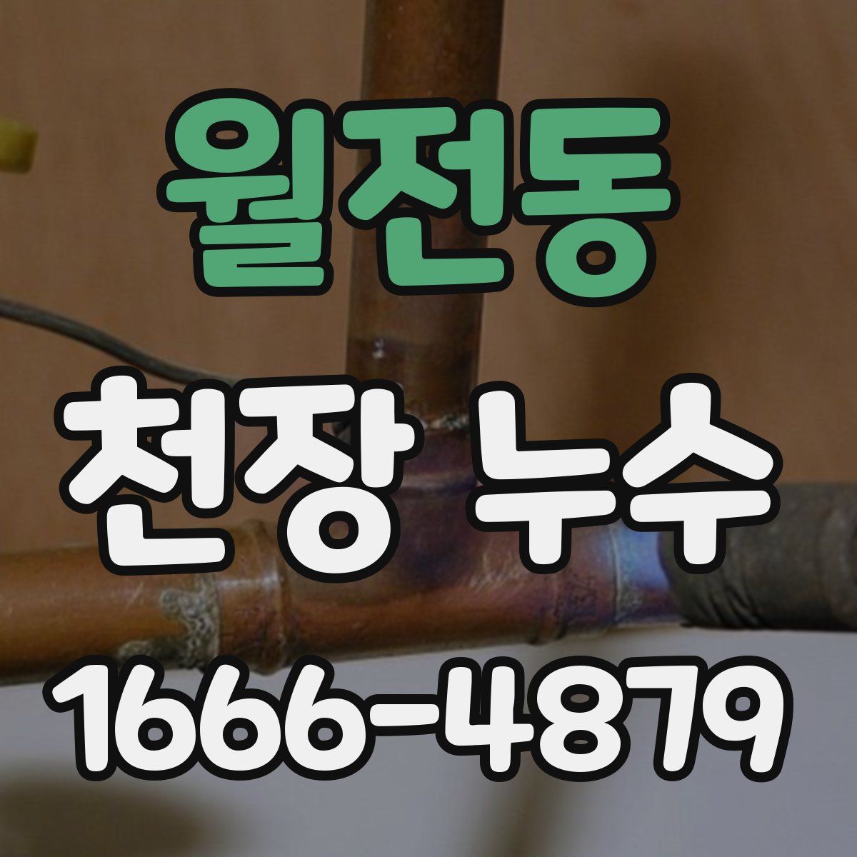 월전동 천장 누수