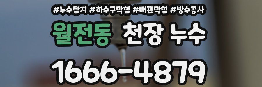 월전동 천장 누수