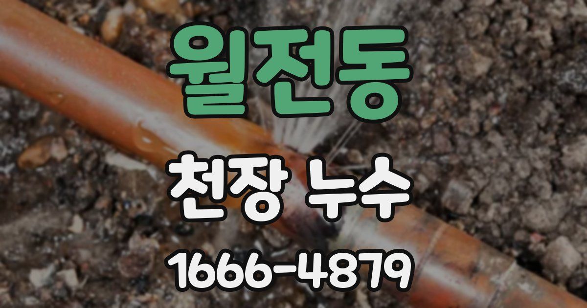 월전동 천장 누수