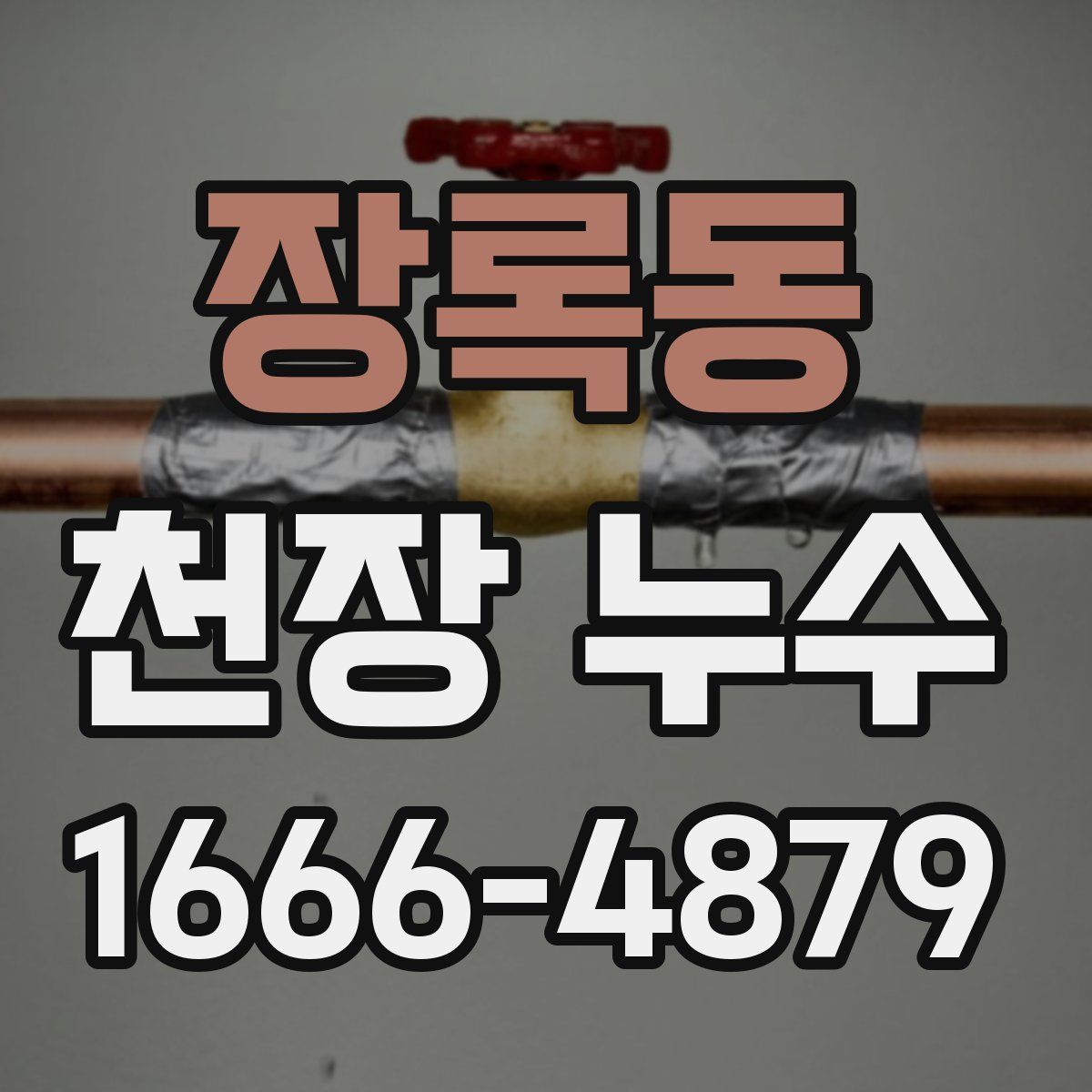 장록동 천장 누수