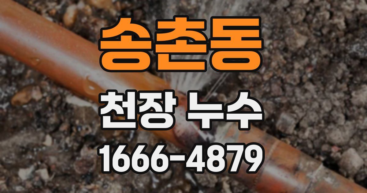 송촌동 천장 누수