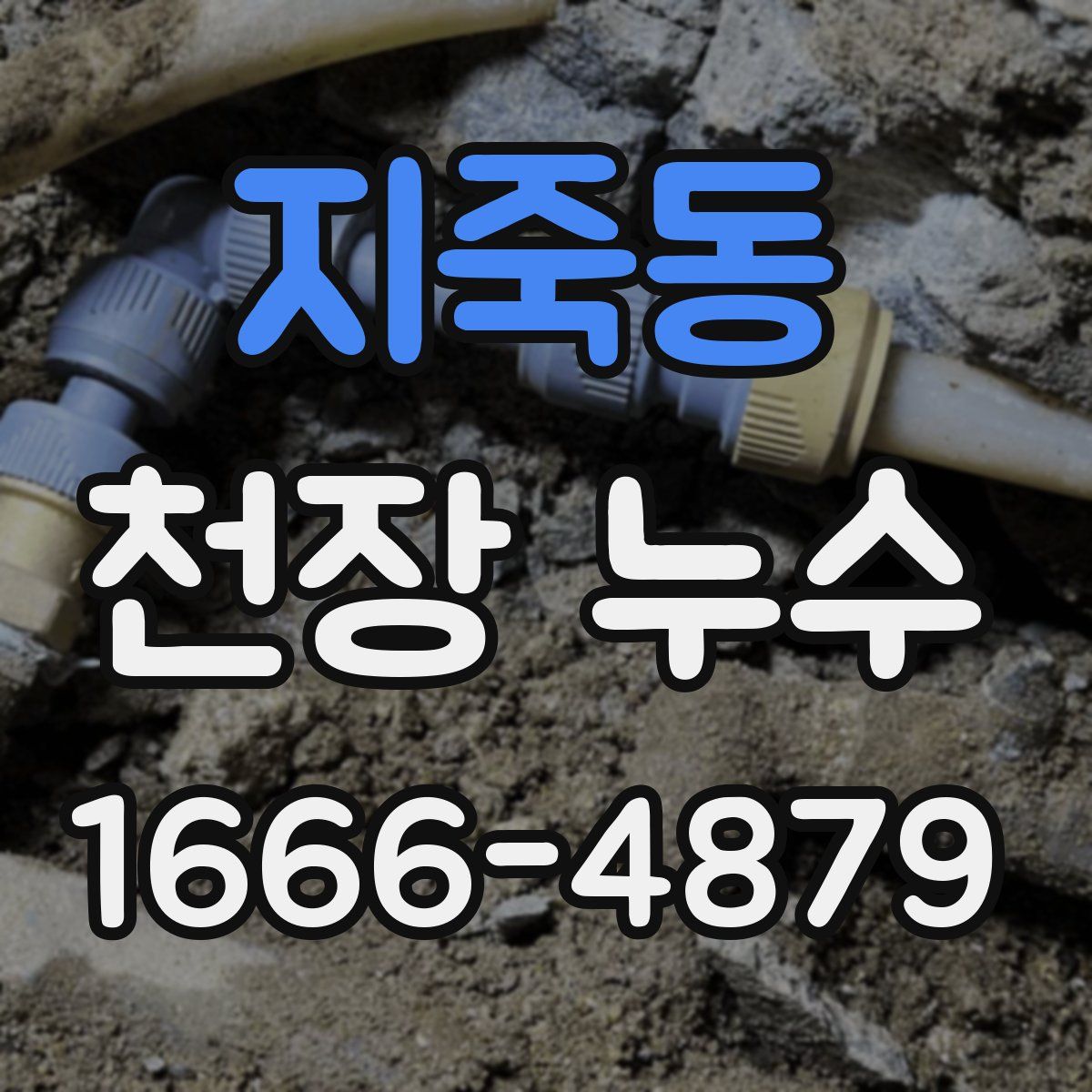 지죽동 천장 누수