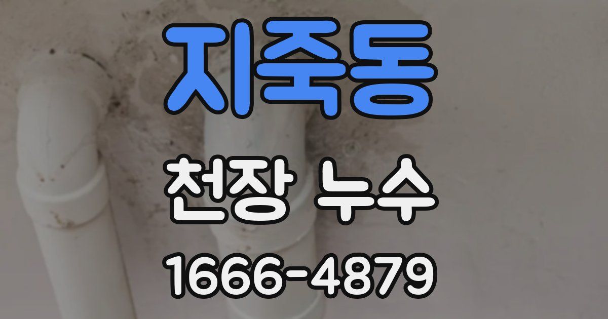 지죽동 천장 누수