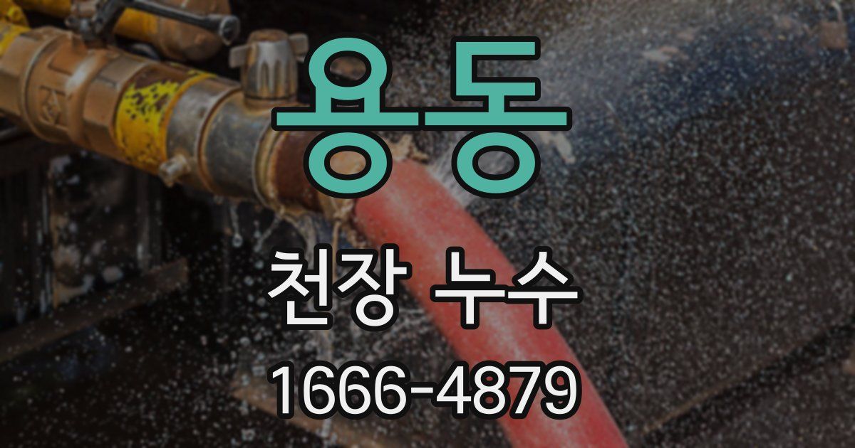 용동 천장 누수