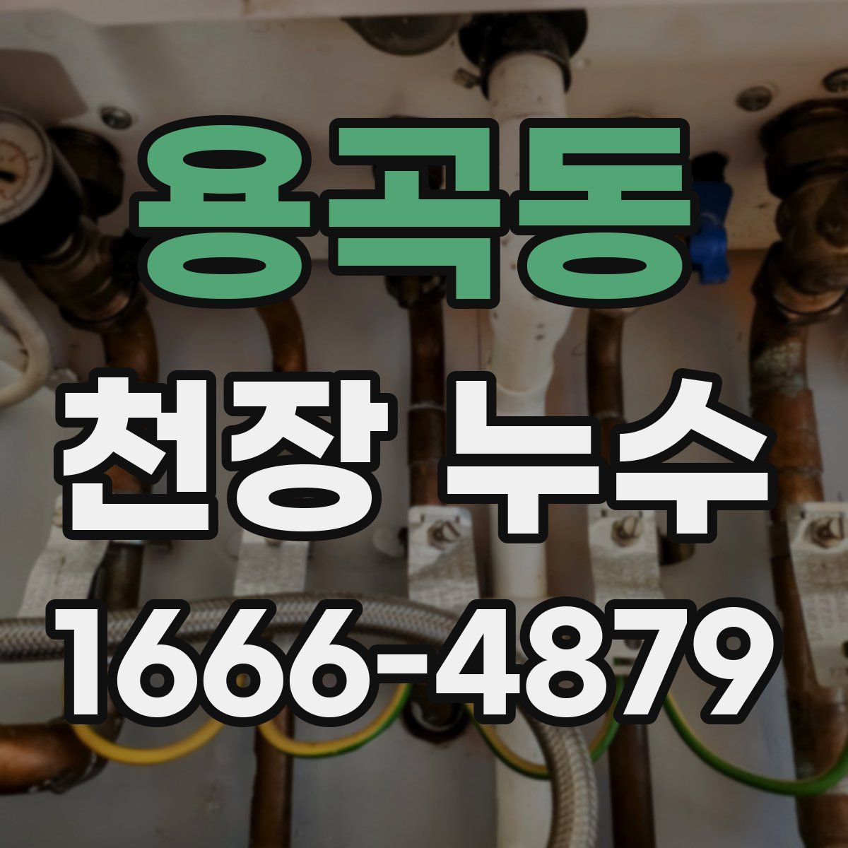 용곡동 천장 누수