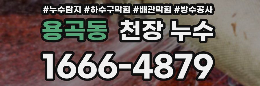 용곡동 천장 누수