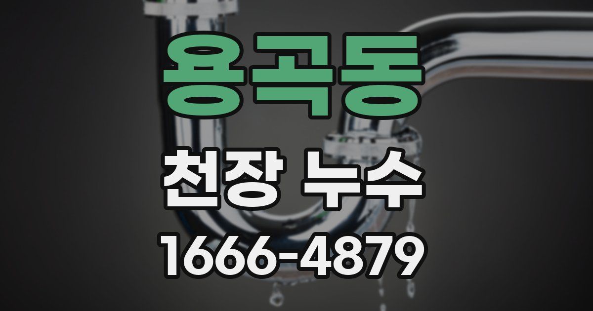 용곡동 천장 누수
