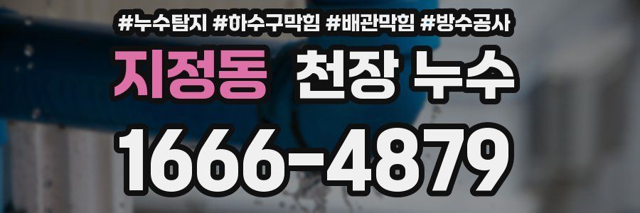 지정동 천장 누수