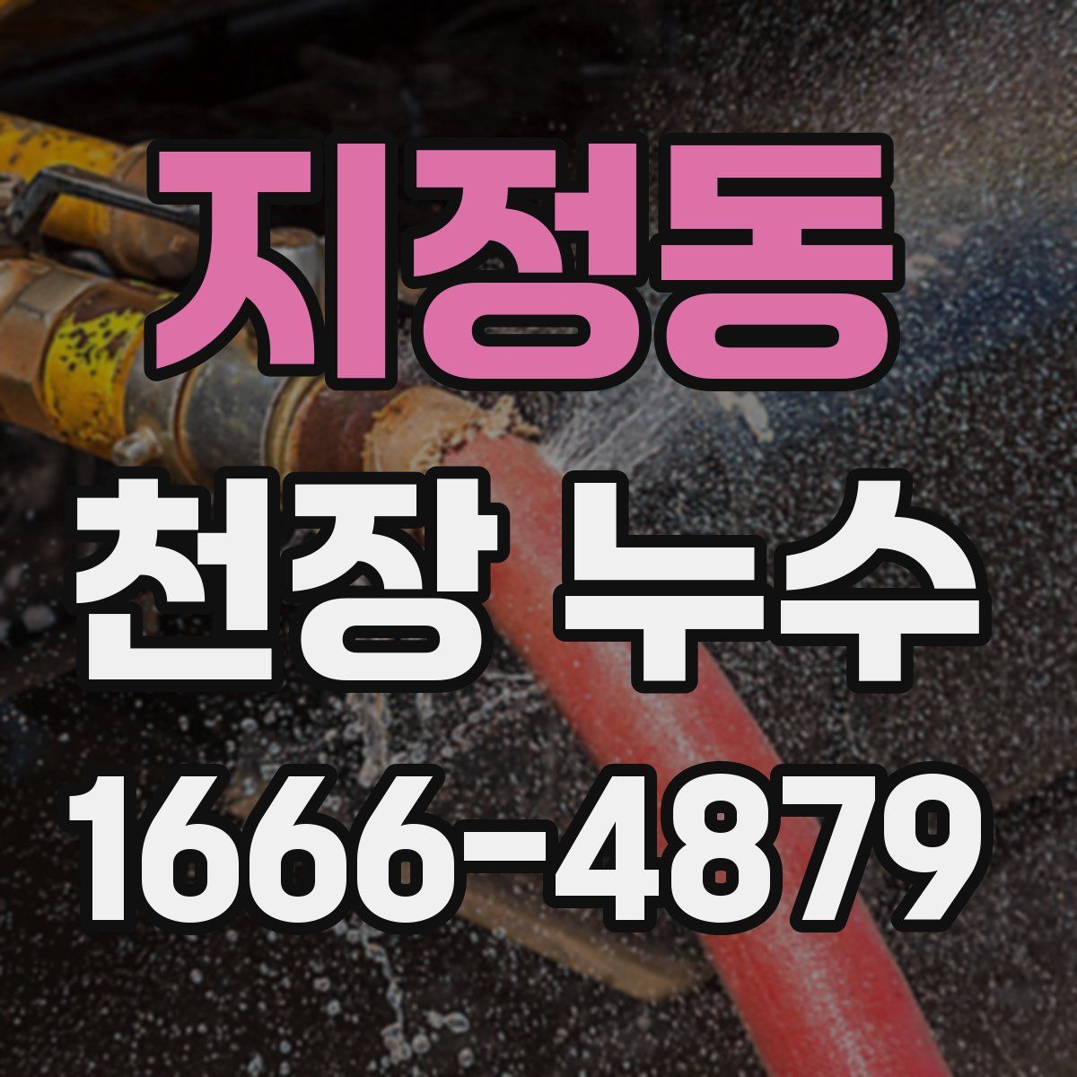 지정동 천장 누수
