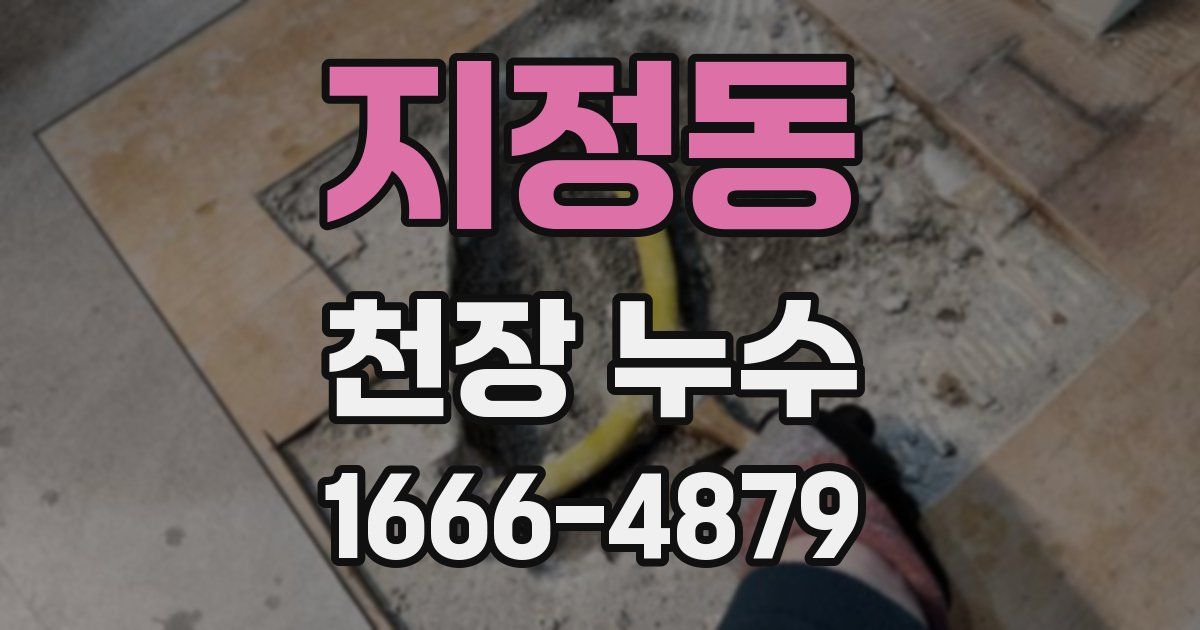 지정동 천장 누수