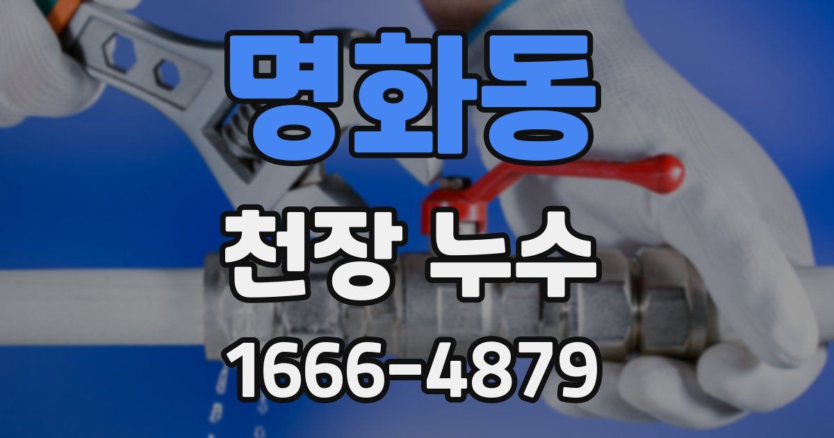 명화동 천장 누수