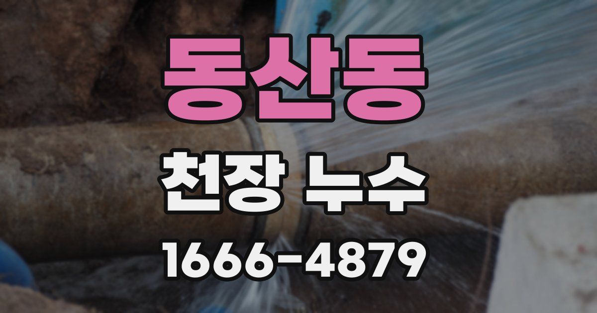 동산동 천장 누수