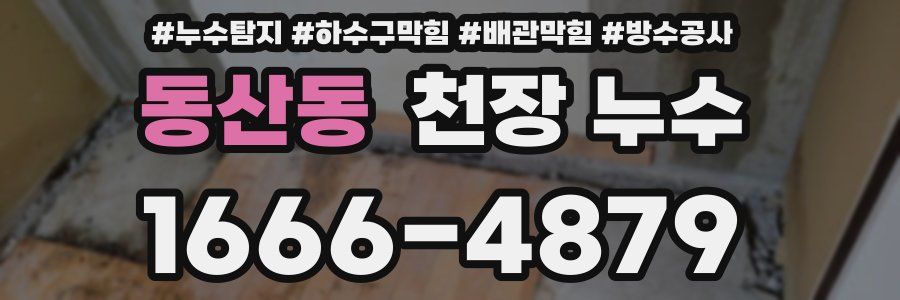 동산동 천장 누수