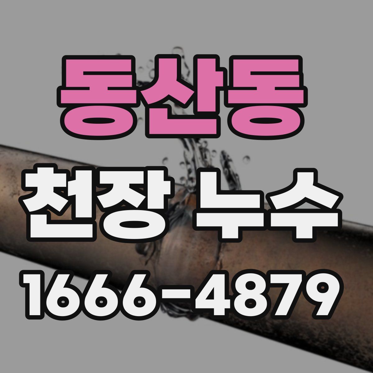 동산동 천장 누수