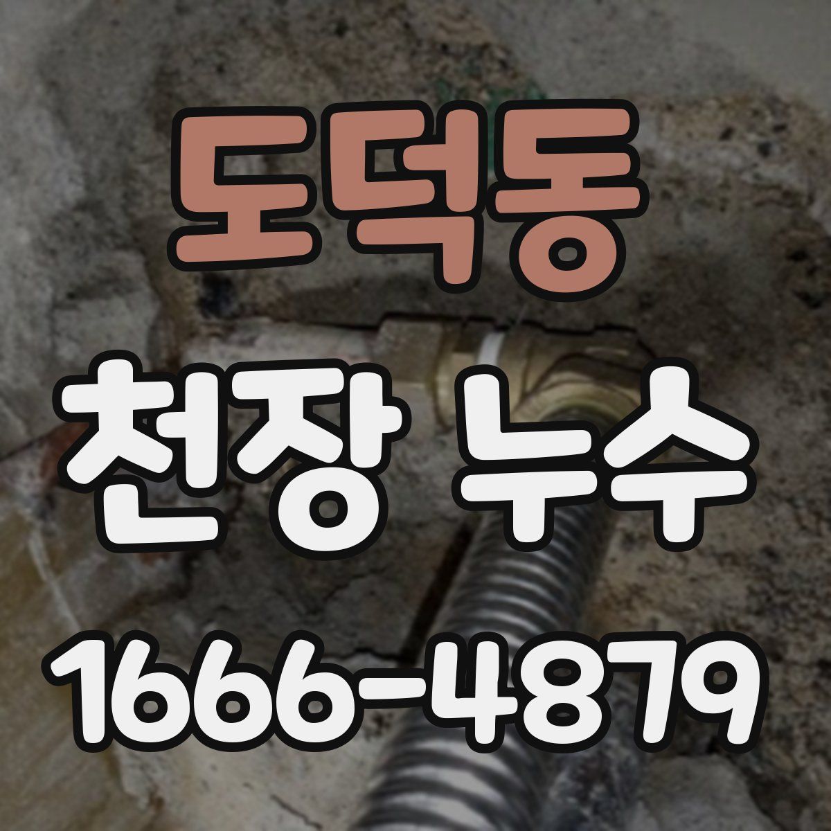 도덕동 천장 누수
