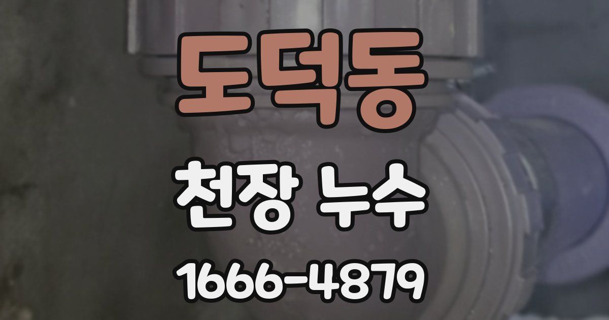 도덕동 천장 누수