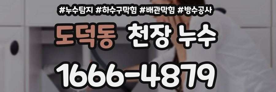 도덕동 천장 누수