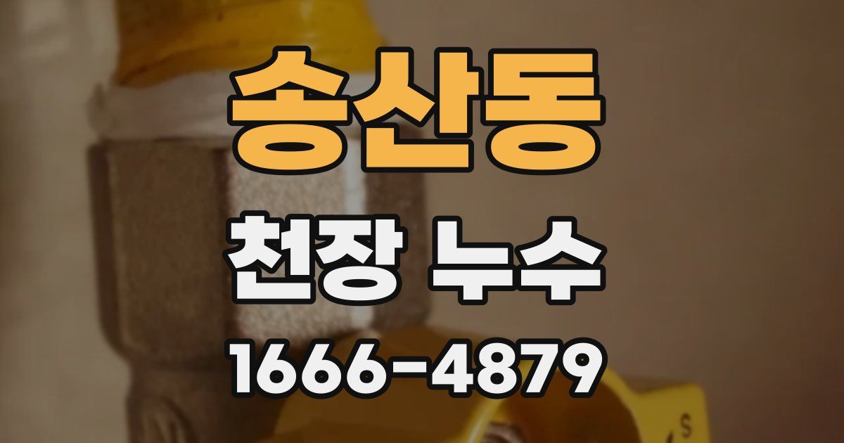 송산동 천장 누수
