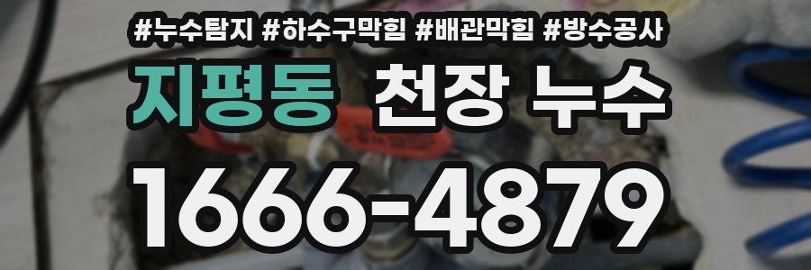 지평동 천장 누수