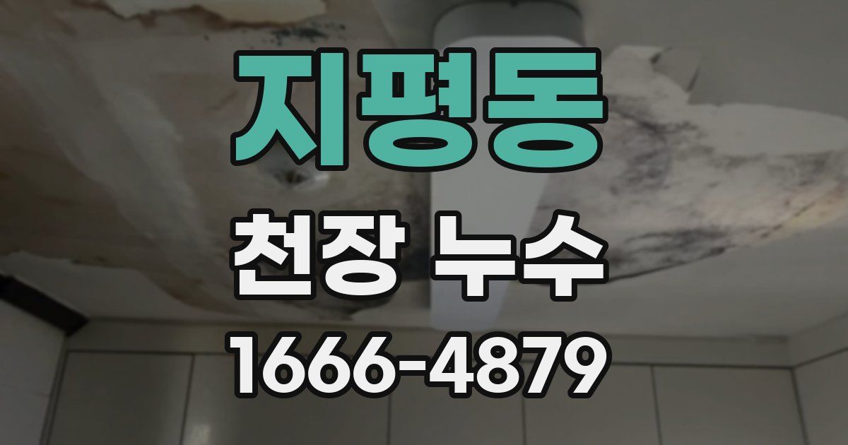 지평동 천장 누수