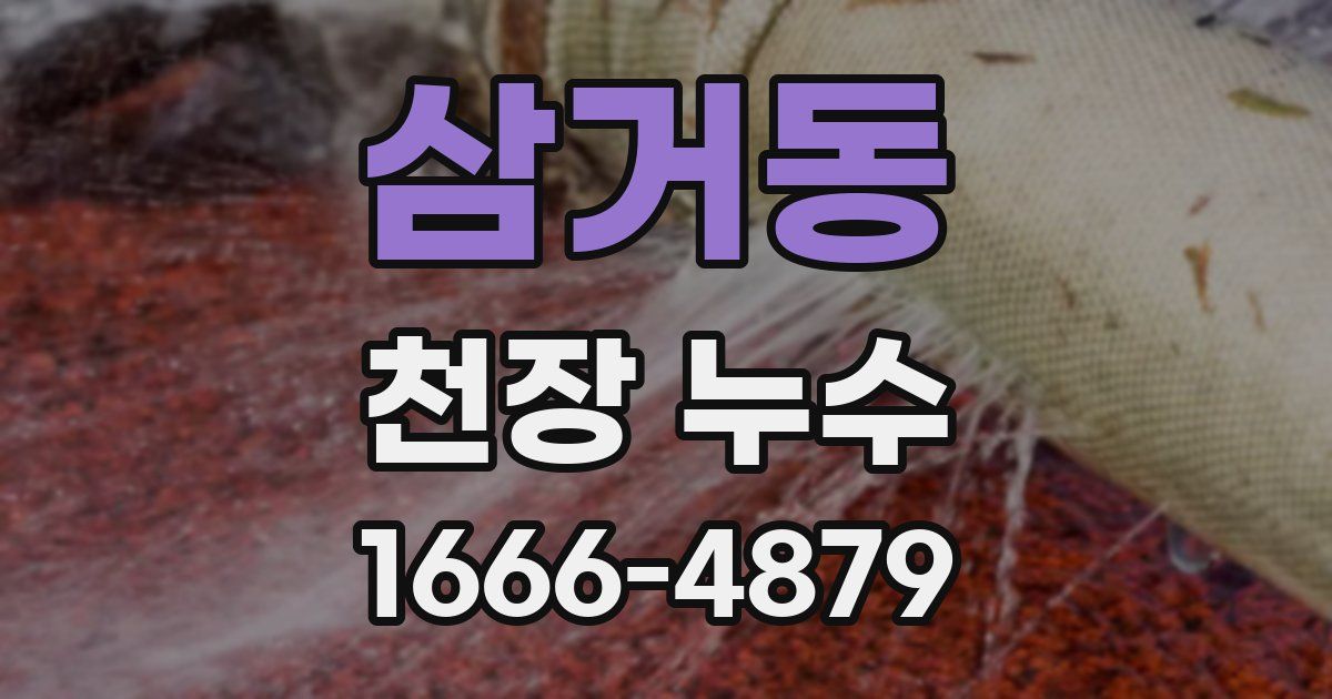 삼거동 천장 누수