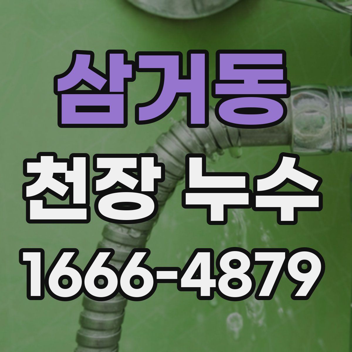 삼거동 천장 누수