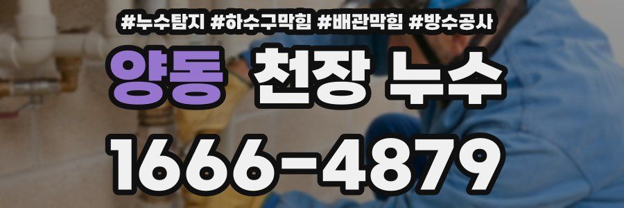 양동 천장 누수