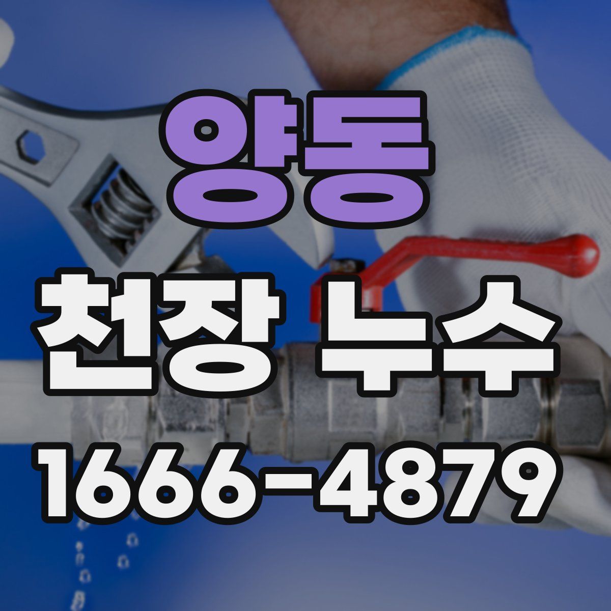 양동 천장 누수