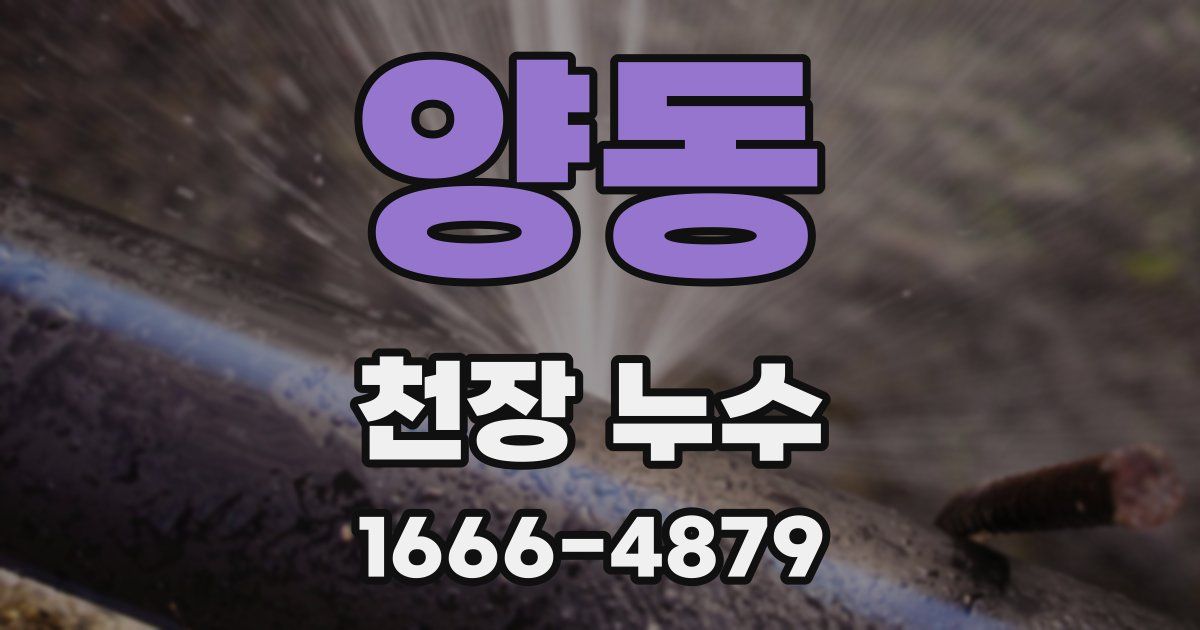 양동 천장 누수