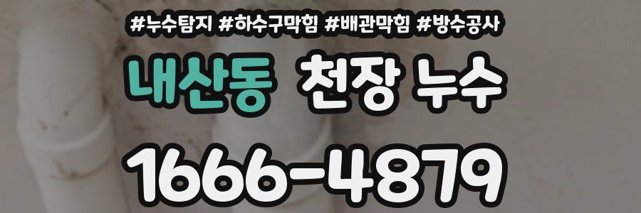 내산동 천장 누수