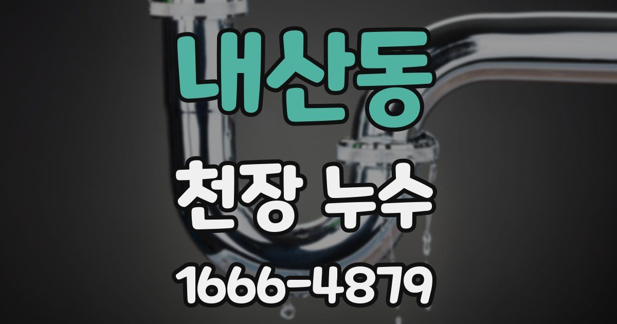 내산동 천장 누수