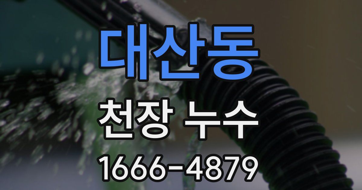 대산동 천장 누수
