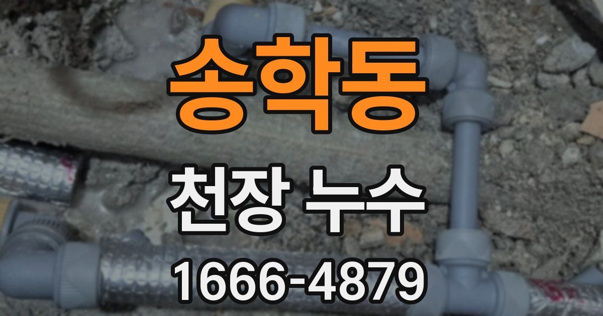 송학동 천장 누수