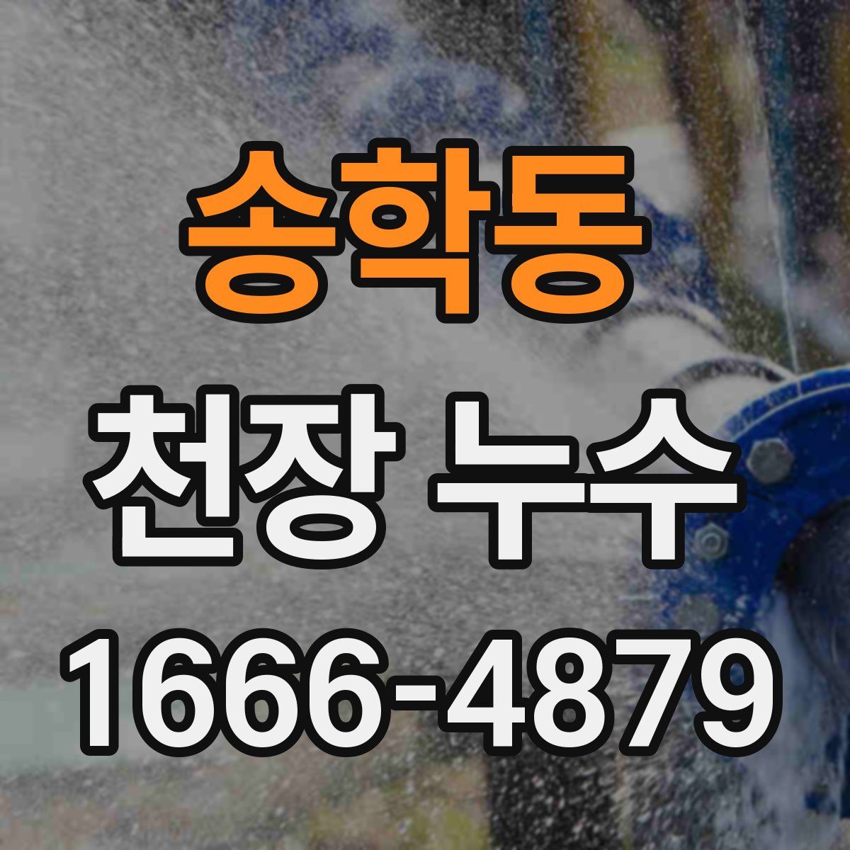 송학동 천장 누수