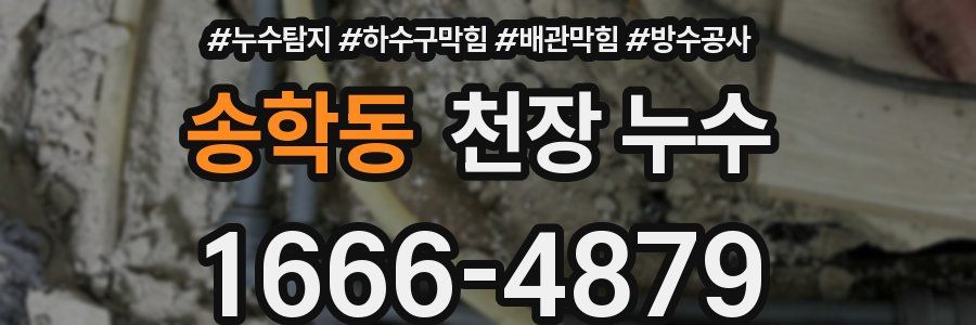송학동 천장 누수
