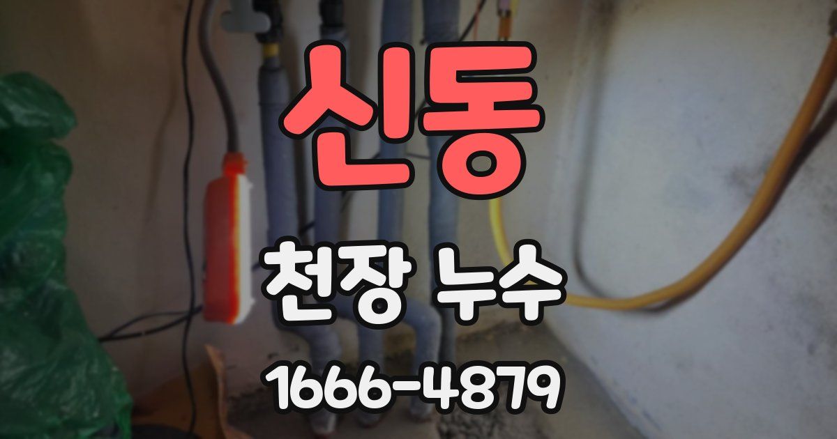 신동 천장 누수