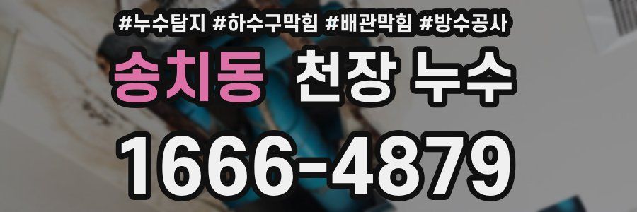 송치동 천장 누수