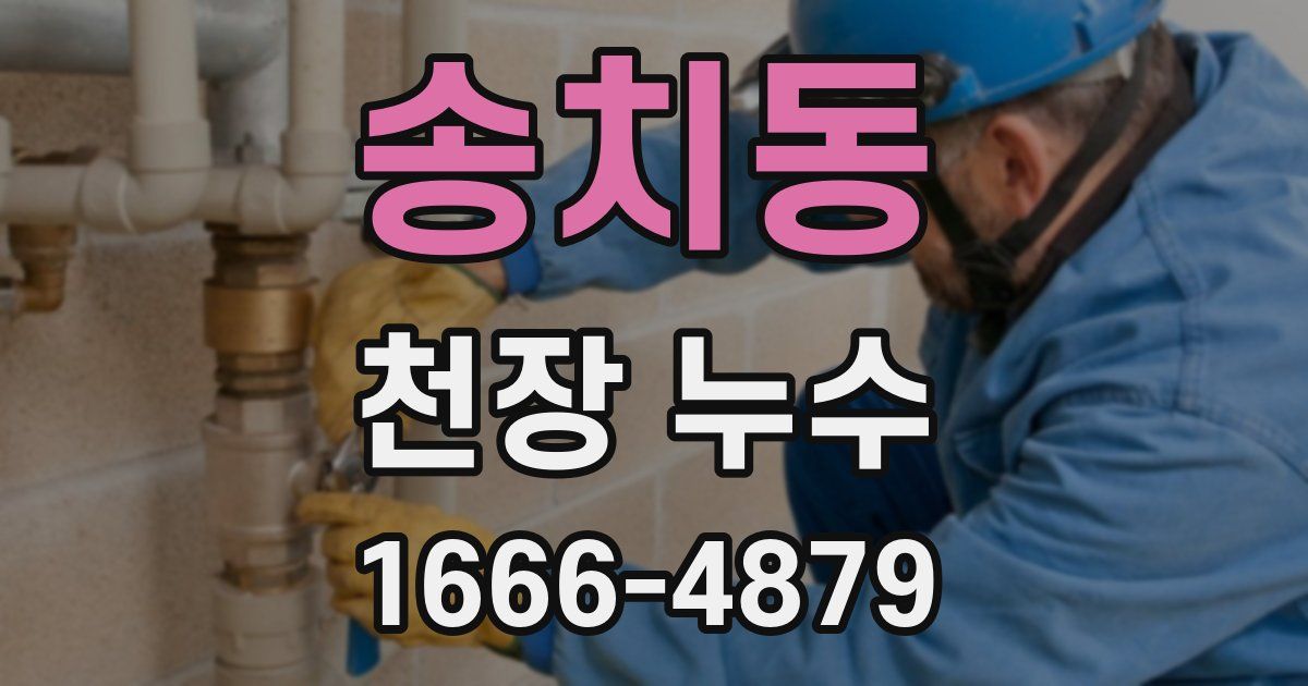 송치동 천장 누수